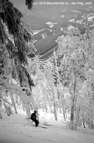 Obr. 92 Sjezd lesem vyžaduje větší pozornost v závislosti na hustotě stromů, Lysá hora (1323 m), Beskydy, únor 2004