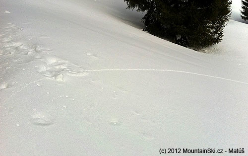 Stupame kotlikom pod Vtacnikom. Niekolko raz pocujeme vyrazne WOOOOF a nasledne nachadzame pekne trhliny v snehu. Odpalovacie rukovate lavinovych Snowpulse ruksakov su v pohotovosti, nase oci na stopkach. Volime relativne bezpecnu trasu medzi stromami a velke rozostupy. Prezili sme ale bali sme sa.