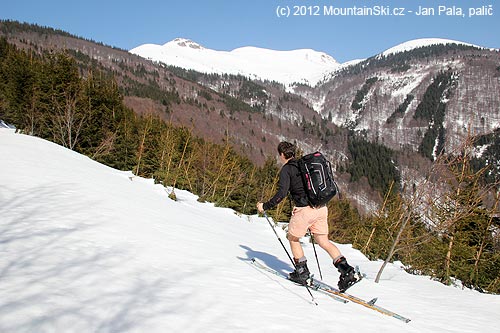Se Snowpulse Mammut Pro 35 R.A.S. v pásmu lesa
