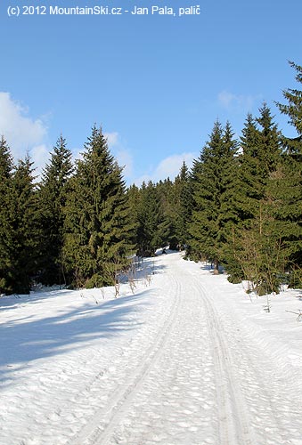 Parádní běžkařské stopy na hřebenu Javorníků