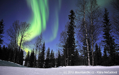 Aurora Borealis