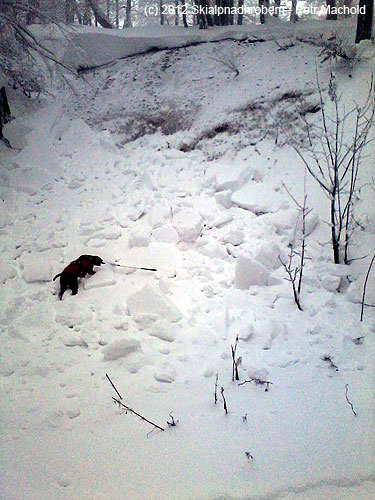 Velký odtrh návěje v oblasti Bouřňáku dne 16. 12. 2012, pes má 80 cm