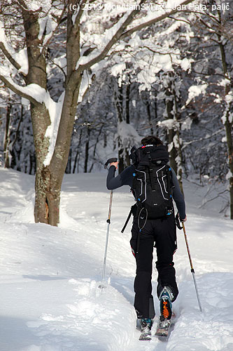 Skialpinistka z Višňového běží hore kopcom