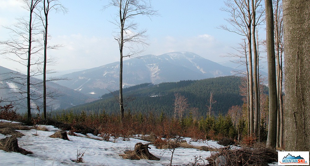 Mezistromový výhled na druhý nejvyšší beskydský vrchol – 1276 m vysoký Smrk