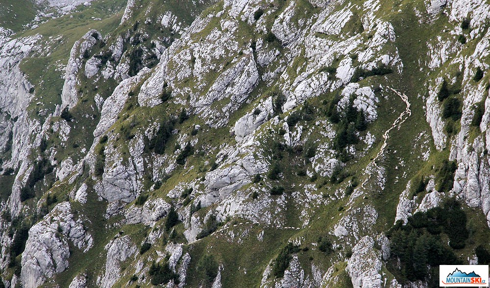 Bezmozkové ovce se bravůrně pohybovaly na velmi strmých travnatých svazích