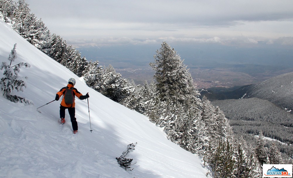 Je libo lyžování v kosodřevině a lese? Bansko nabízí spoustu možností…