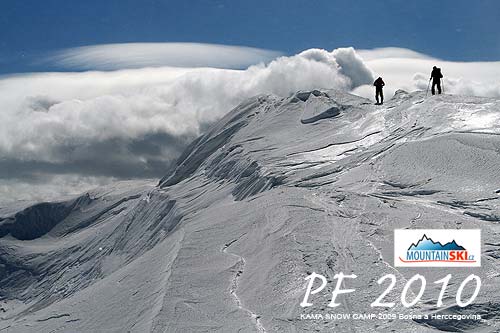 PF 2010