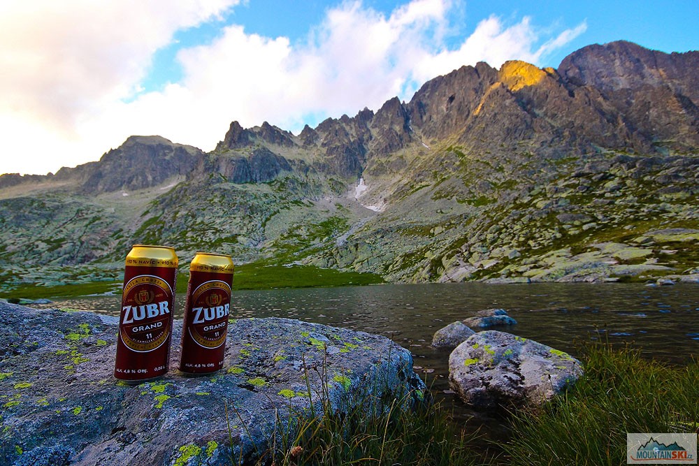 Zubr!