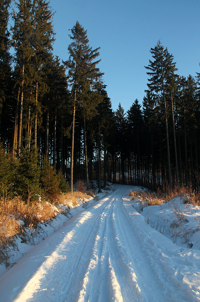 Opět rozjěžděno od motorových vozidel