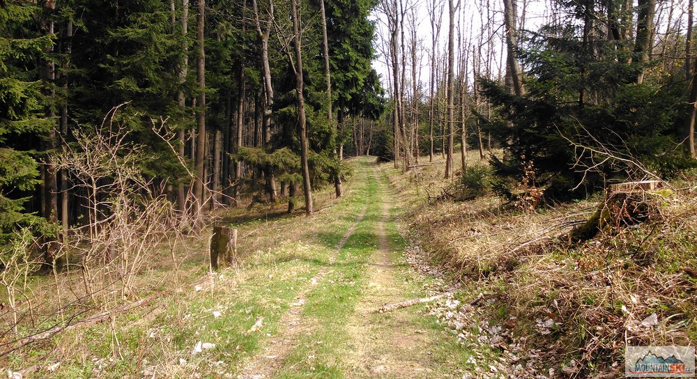 Výjimečně to na hřebenu vypadalo takto dokonale – před rozcestím Láz