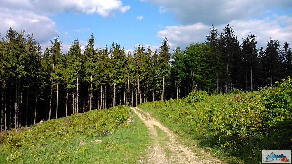 Na hřebenu mezi Vsackou Tanečnicí a Ptáčnicí (830 m)