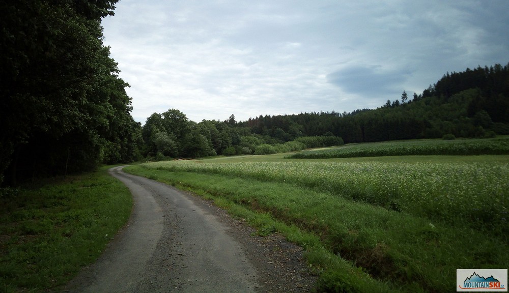 Podél Jasenického potoka