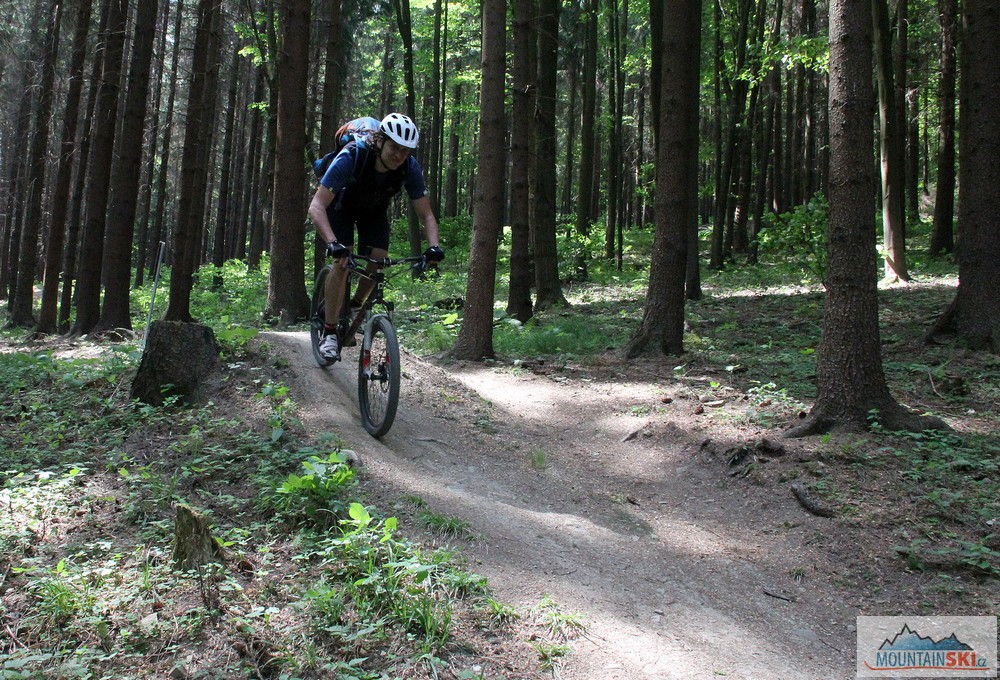 Pytlácký trail je plný krásných hupů