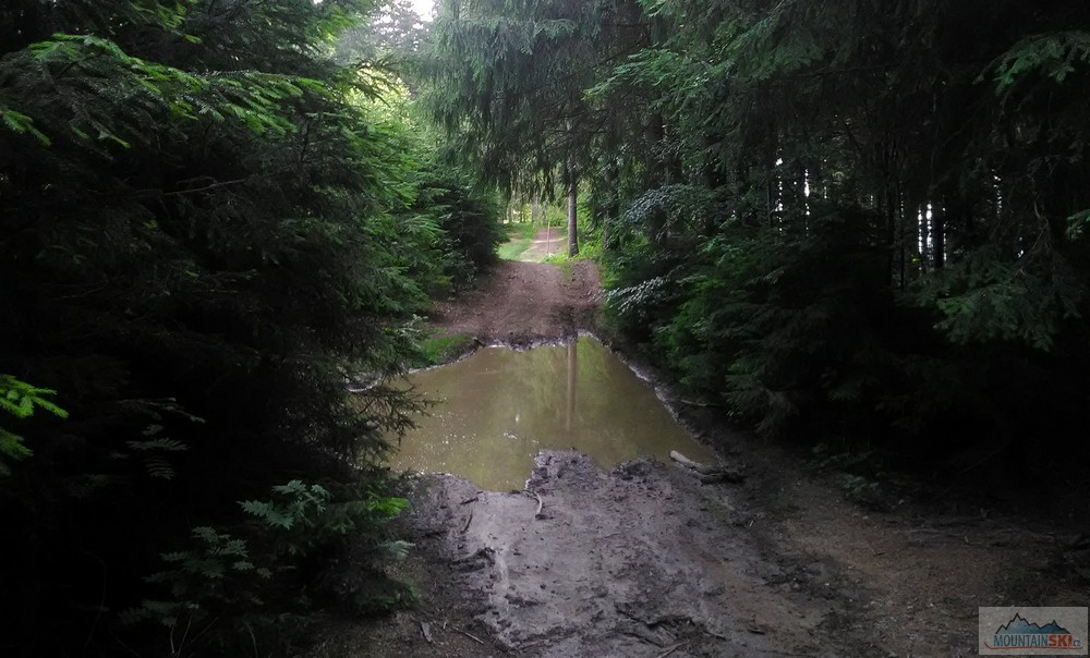 Červená hřebenovka má místy úpravy podle traktorisů a motorkářů