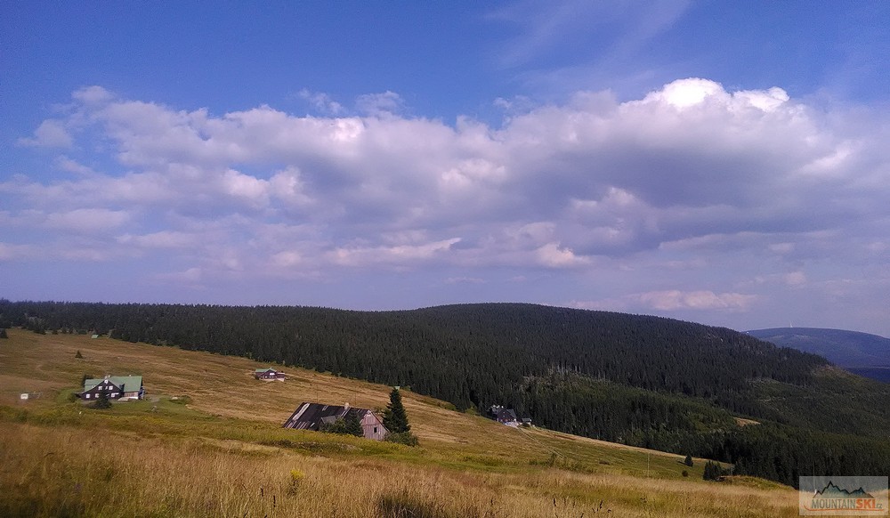 Výjezd z lesa po K1A s výhledem na Zadní Rennerovky