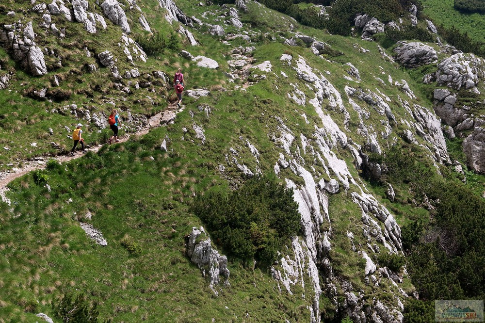 Traverz kus nad Cojzovou kočou