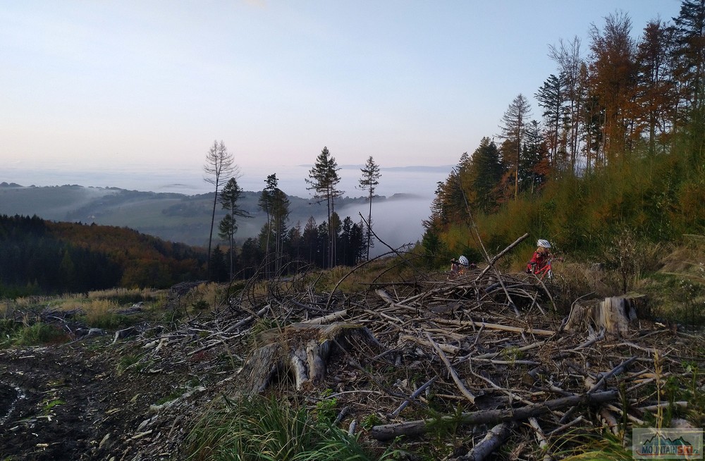 Cestou necestou, tlačíme pasekou