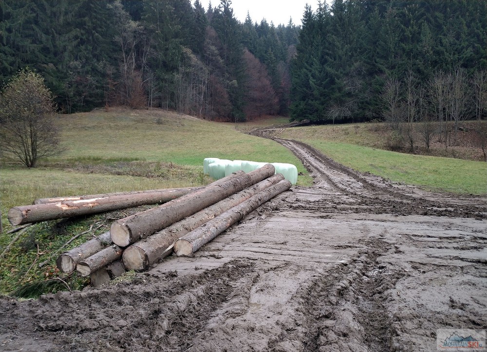 Cestou od studánky Zlatnica jsme viděly, co všechno je možné udělat z louky