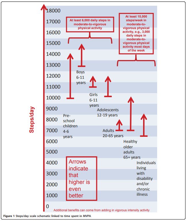Shrnující přehled kroků u různých věkových skupin se zahrnutím chronicky nemocných – zdroj: Catrine Tudor-Locke, et al., How many steps/day are enough? for adults
