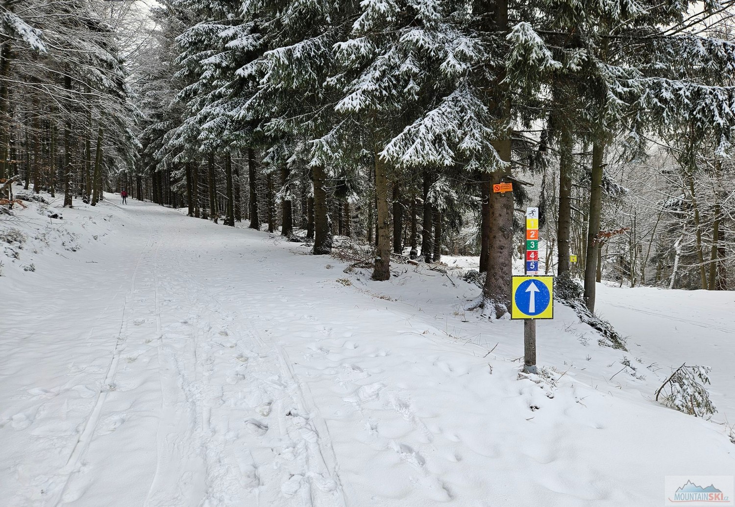 Běžkařské, pardon pěší, okruhy na Pustevnách