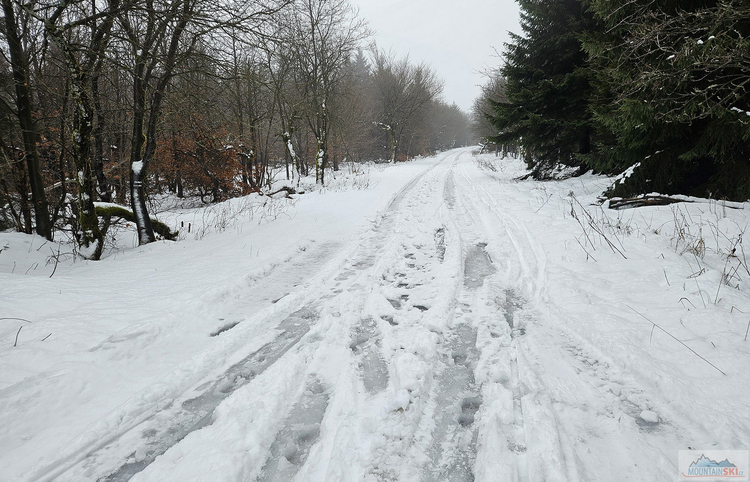 Krušné hory – z Vitišky směr Pramenáč v prosinci 2024